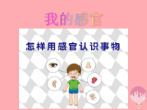小学科学【冀人版】一年级上册第2课《我的感官》PPT课件(共16页)