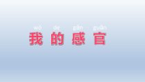 小学科学【冀人版】一年级上册第2课《我的感官》PPT课件1