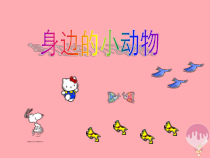 小学科学【冀人版】一年级上册第7课《身边的动物》PPT课件(共12页)