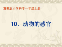 小学科学【冀人版】一年级上册《动物的感官》PPT课件（共7页）