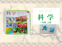 小学科学【冀人版】一年级上册《动物的感官》PPT课件（共26页）