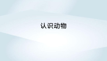 小学科学【冀人版】一年级上册《认识动物》PPT课件（共16页）
