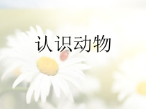 小学科学【冀人版】一年级上册《认识动物》PPT课件（共36页）