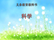 小学科学【冀人版】一年级上册《认识植物》PPT课件（共16页）