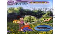 小学科学【冀人版】一年级上册《身边的动物》PPT课件3（共27页）