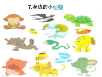 小学科学【冀人版】一年级上册《身边的动物》PPT课件3（共28页）