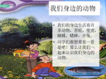 小学科学【冀人版】一年级上册《身边的动物》PPT课件3（共19页）