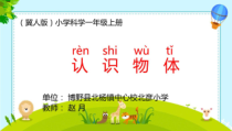 小学科学【冀人版】一年级上册11《认识物体》PPT课件3（共13页）