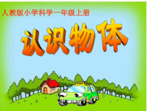 小学科学【冀人版】一年级上册11《认识物体》PPT课件（共12页）