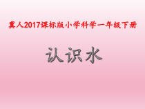 小学【冀教版】科学一年级下册第1课《认识水》PPT课件2