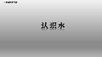 小学【冀教版】科学一年级下册第1课《认识水》PPT课件5