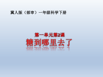 小学【冀教版】科学一年级下册第2课《糖到哪里去了》PPT课件(共10页)