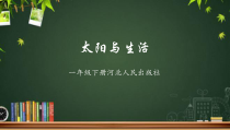 小学【冀人版】科学一年级下册《太阳与生活》PPT课件（共13页）
