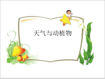 小学【冀人版】科学一年级下册《天气与动植物》PPT课件（共12页）