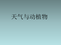 小学【冀人版】科学一年级下册《天气与动植物》PPT课件（共21页）