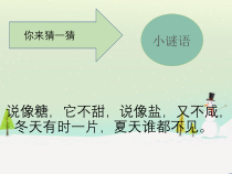 小学科学【冀人版】二年级上册《寒冷的冬天》PPT课件1