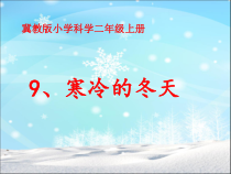 小学科学【冀人版】二年级上册《寒冷的冬天》PPT课件5