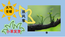 小学科学【冀人版】二年级上册《寒冷的冬天》PPT课件4