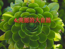 小学科学【冀人版】二年级上册第4课《美丽的大自然》PPT课件2