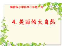 小学科学【冀人版】二年级上册第4课《美丽的大自然》PPT课件1