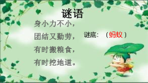 小学【冀人版】科学二年级下册第7课《寻找蚂蚁的家》PPT课件4