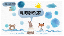 小学【冀人版】科学二年级下册第7课《寻找蚂蚁的家》课件+视频（2份打包）