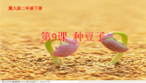 小学【冀人版】科学二年级下册第9课《种豆子》PPT课件3