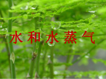 【冀教版】小学科学三年级上册第十课《水和水蒸气》PPT课件(共16页)
