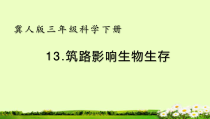 小学【2020新冀教版】三年级下册科学13《筑路影响生物生存》ppt课件