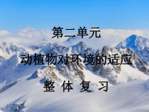 小学【2020新冀教版】三年级下册科学第二单元《动植物对环境的适应》整体复习ppt课件