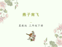 冀人教三年级下册科学第7课《燕子南飞》PPT课件 