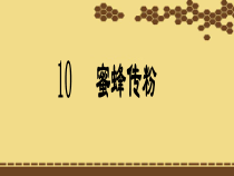 【冀人版】科学三年级下册第10课《蜜蜂传粉》PPT课件3