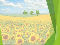 小学【2020冀人版】三年级下册科学第二课《树与草》PPT课件