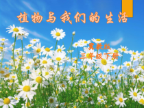 小学【2020冀人版】三年级下册科学《植物和我们的生活》PPT课件