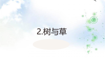 小学【2020冀人版】三年级下册科学1.2《树与草》PPT课件