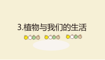 小学【2020冀人版】三年级下册科学1.3《植物与我们的生活》PPT课件（共19页）