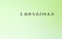 小学【2020新冀教版】三年级下册科学3《植物与我们的生活》ppt课件