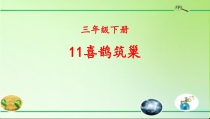 小学【2020新冀教版】三年级下册科学11《喜鹊筑巢》ppt课件