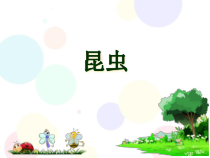 小学【2020新冀教版】三年级下册科学5《昆虫》ppt课件