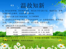 小学【2020新冀教版】三年级下册科学第9课《动物的特殊感官》ppt课件