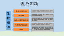 小学【2020新冀教版】三年级下册科学第六课《仙人掌与莲》ppt课件