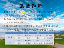 小学【2020新冀教版】三年级下册科学第二单元第7课《燕子南》ppt课件