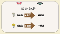 小学【2020新冀教版】三年级下册科学第一单元第2课《树与草》第二课时ppt课件
