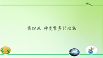 小学【2020新冀教版】三年级下册科学第四课《种类繁多的动物》ppt课件