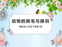 小学【冀人版】三年级下册科学8《动物的换毛与换羽》PPT课件（共11页）
