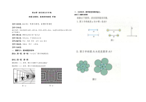 5.1《观察与思考 看图时的错觉》导学案-七年级下册数学人教版