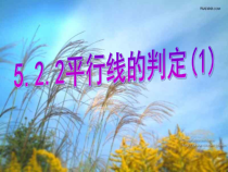 5.2.2《平行线及其判定（1）》PPT课件7-七年级下册数学人教版
