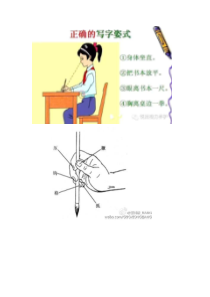 北师大版书法三年级上册《第2课 垂露竖》教学素材2