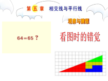 5.1《观察与思考 看图时的错觉》PPT课件1-七年级下册数学人教版
