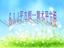 6.1.1《算数平方根》PPT课件5-七年级下册数学人教版